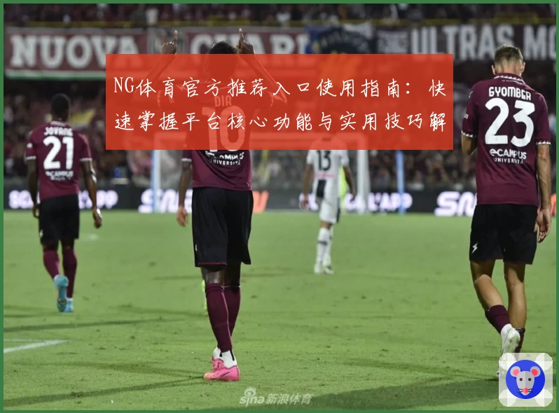 NG体育官方推荐入口使用指南：快速掌握平台核心功能与实用技巧解析